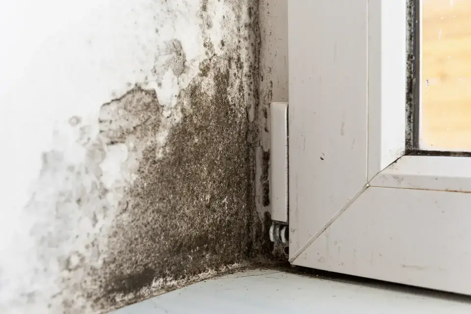 Water Damage in Ken Caryl, CO